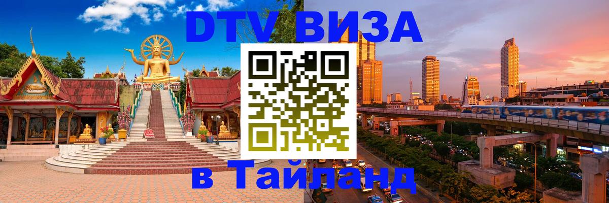 Оформление DTV визы под ключ: стоимость и тарифы, только загранпаспорт - 